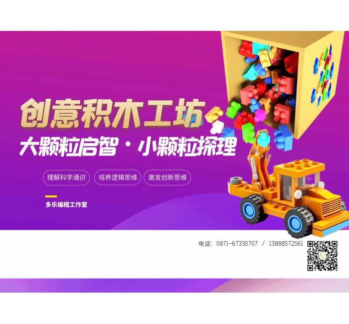 创意积木工坊（大小颗粒）